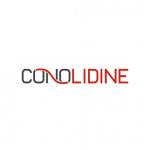 Conolidine Profile Picture