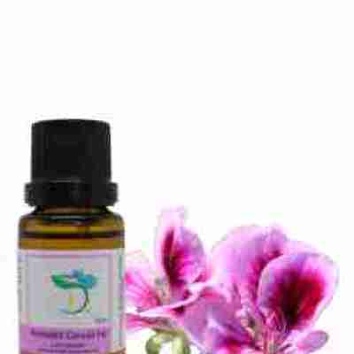 Geranium (Bourbon) Essential Oil Profile Picture