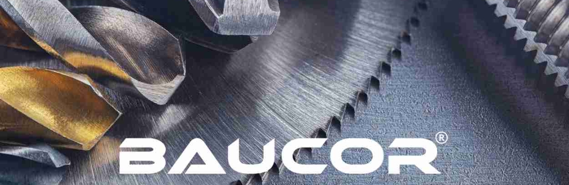 Baucor Baucor Cover Image