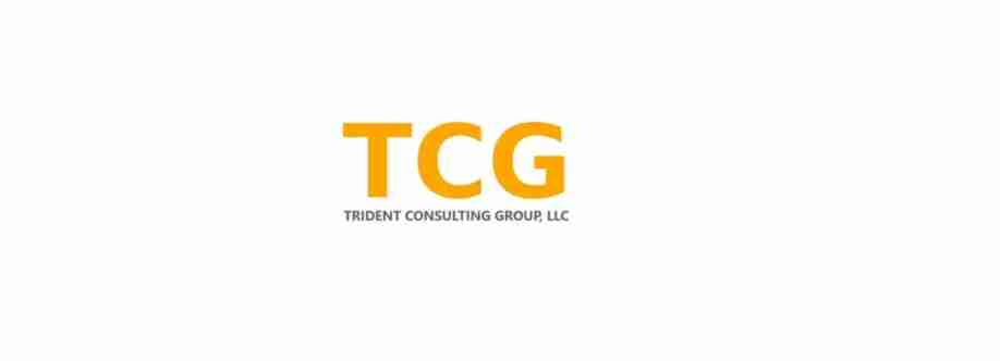 Trident Consulting Group Cover Image