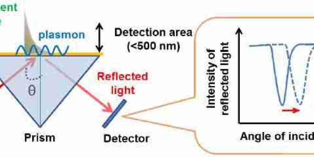 Surface Plasmon Resonance (SPR)-Principles, Advantages, Analysis Process and Applications