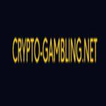 Crypto Gambling Net Profile Picture