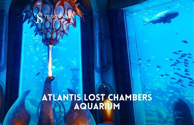 Lost Chambers Aquarium Dubai Ticket | Book Now With - Travel Saga Tourism