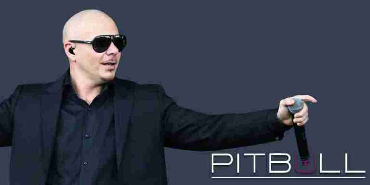 Pitbull Net Worth: How The Music Star Got Rich