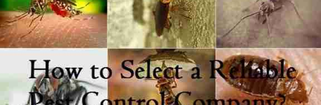 envirosafe pestcontrol Cover Image