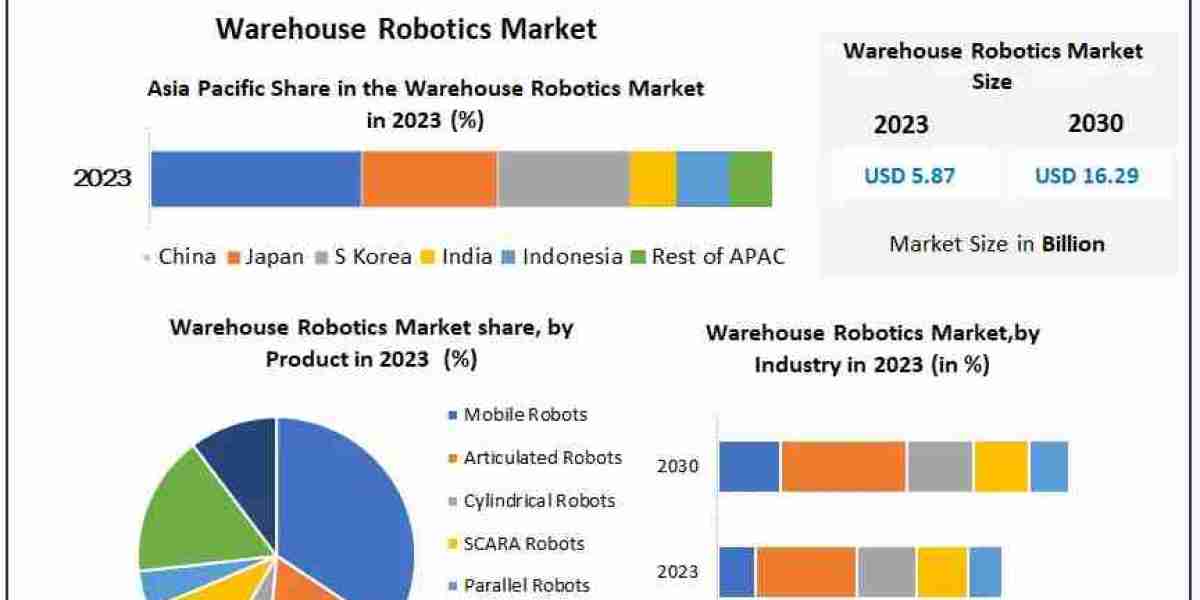 Warehouse Robotics Market: Growth Opportunities, Innovations, and Forecast (2024-2030)