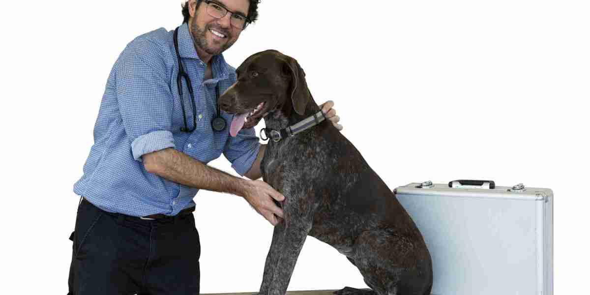 Dr. G Mobile Vet: Your Trusted Partner in Mobile Veterinary Services for Pets