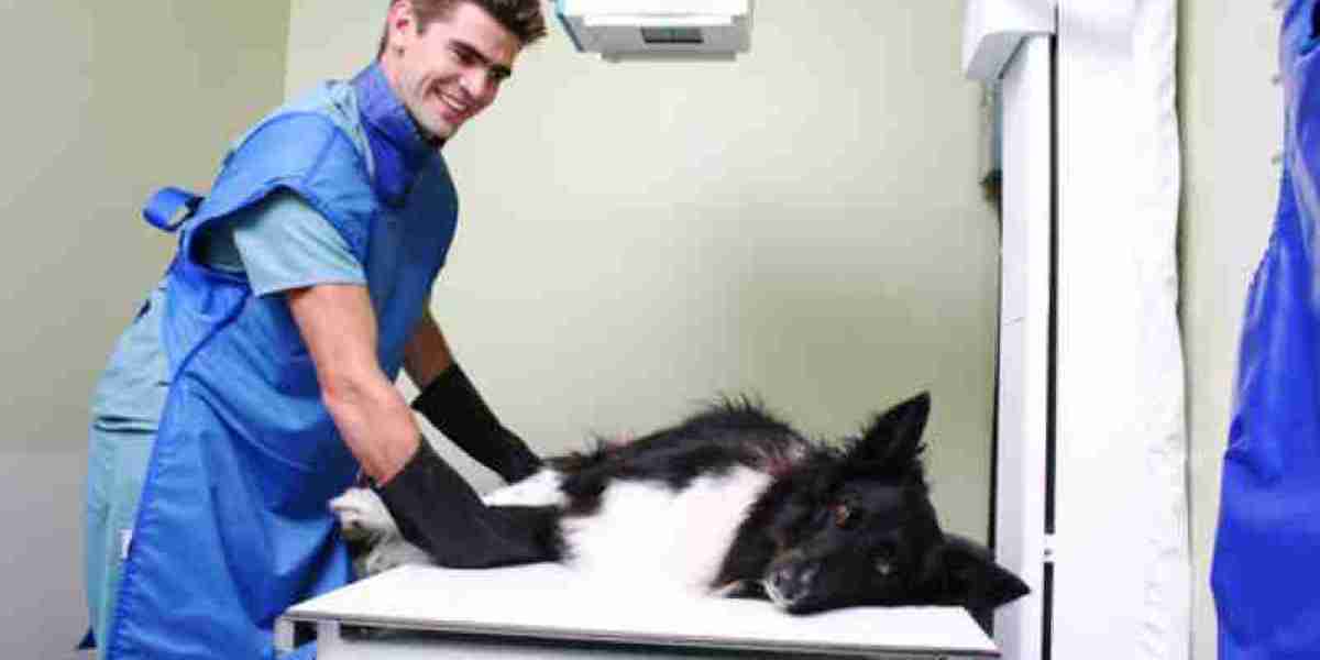 Vet Lab & Pet Pharmacy in Los Angeles Veterinary Diagnostic Lab