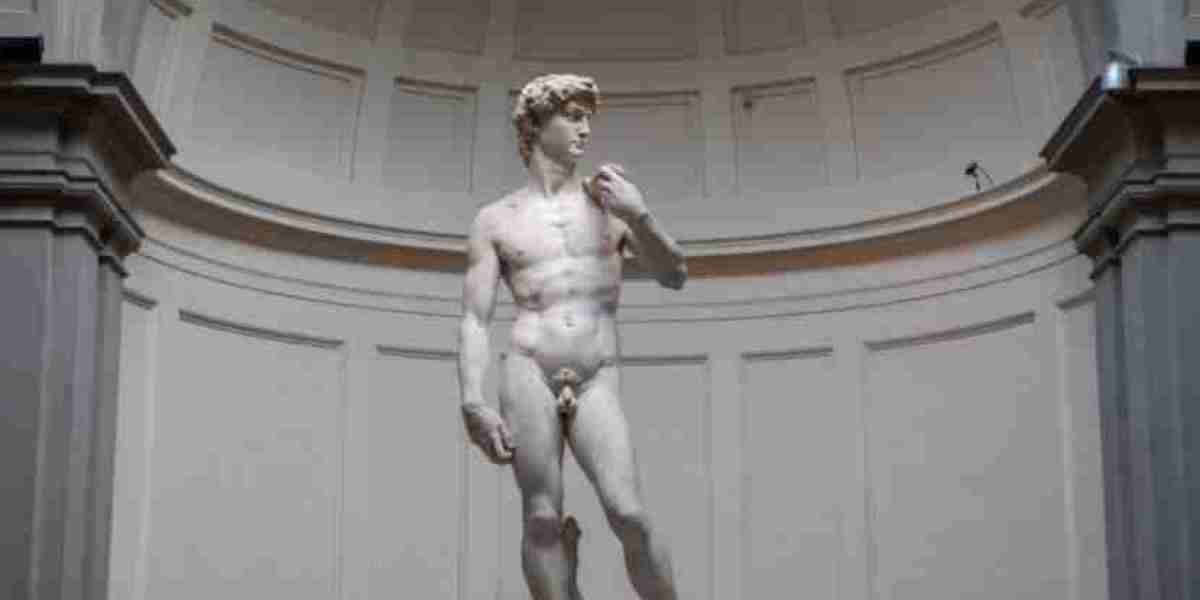 David Michelangelo: A Masterpiece of Renaissance Sculpture