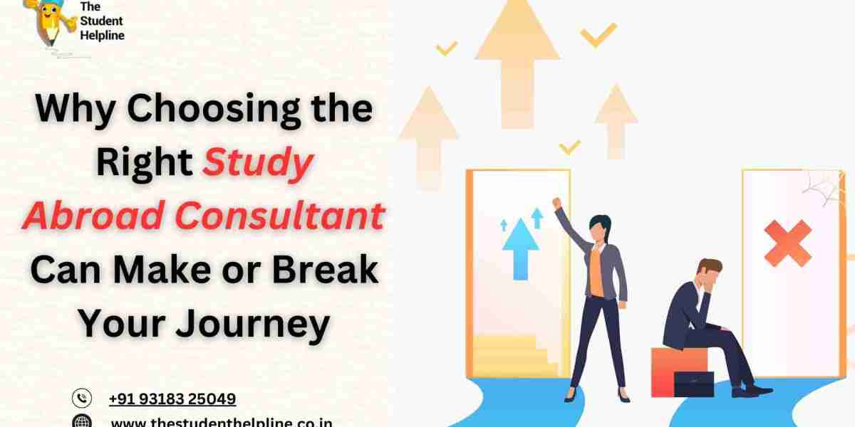 Why Choosing the Right Study Abroad Consultant Can Make or Break Your Journey