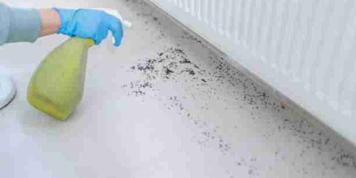 Everything You Need to Know About Mould Release Agents and Concrete Bonding Agents