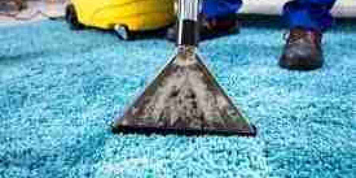 Professional Carpet Cleaning: Enhancing Comfort and Reducing Allergens