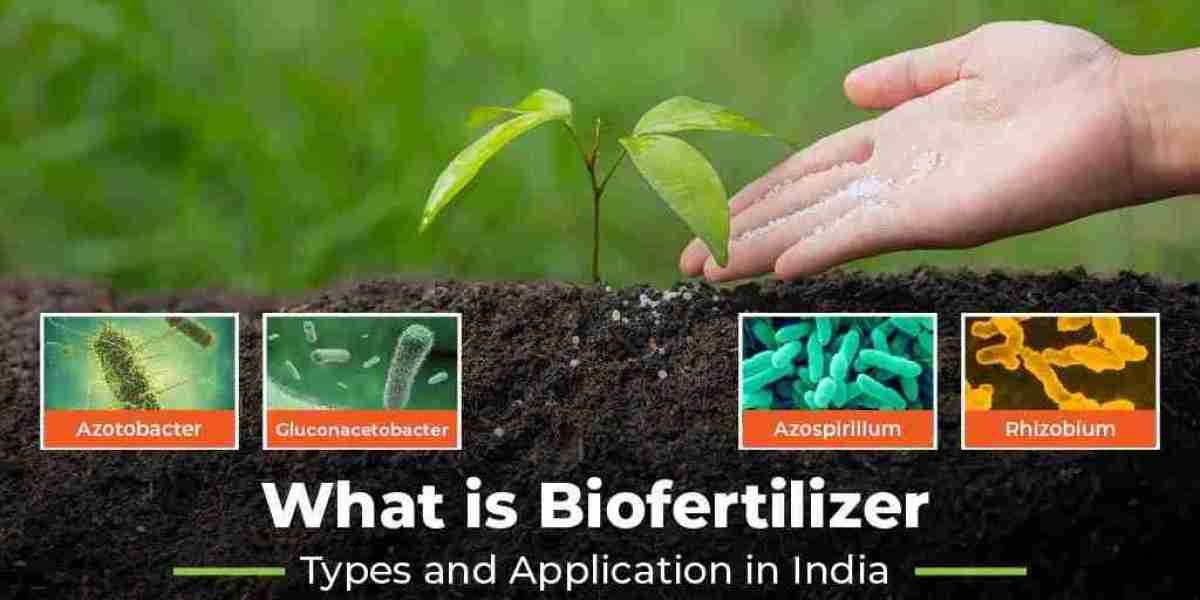 What are Biofertilizers? Types and uses