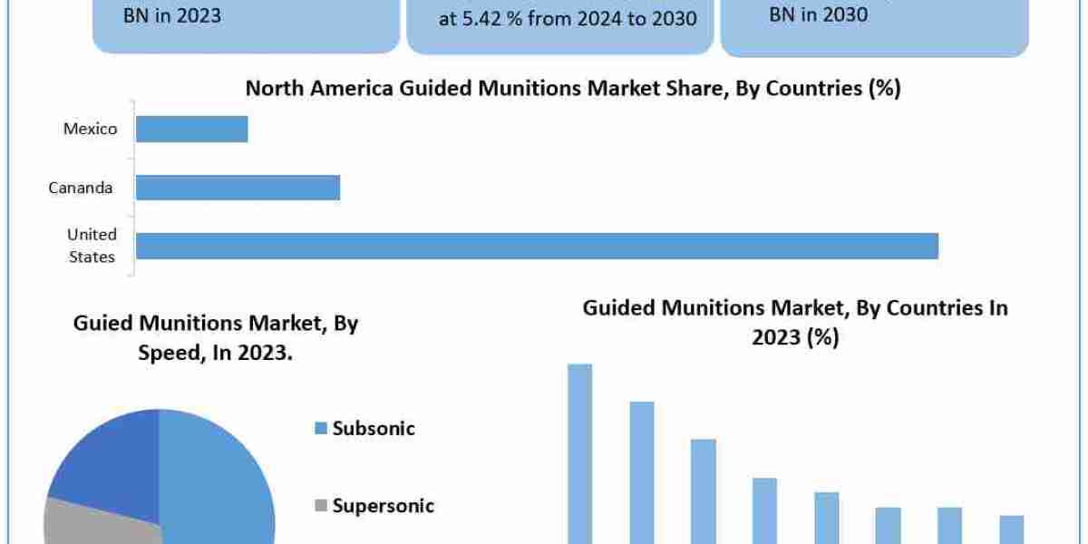 Guided Munitions Market 	Worth the Numbers: Size, Share, Revenue, and Statistics Overview | 2025-2032