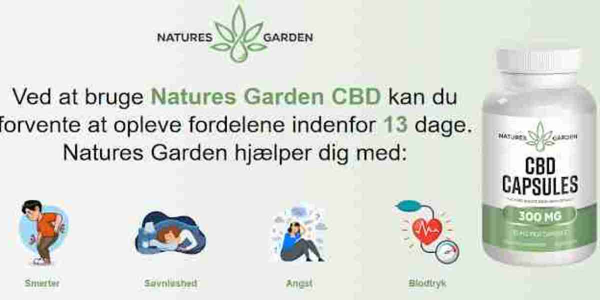 Hvordan hjælper Natures Garden CBD-kapsler DK med smertelindring?