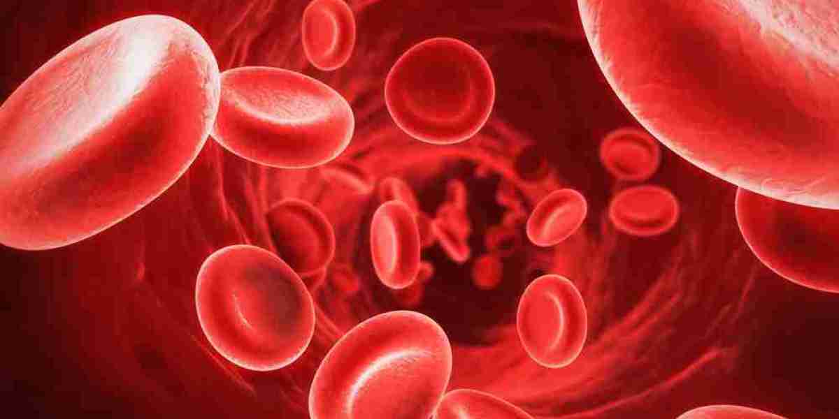 Hemophilia B Market Report, Epidemiology, Trends and Forecast to 2024-2034