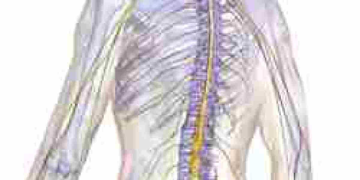 Living with Spinal Arthritis: Management and Treatment Options