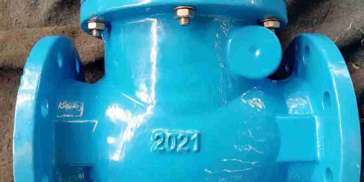 Check Valve Suppliers in UAE