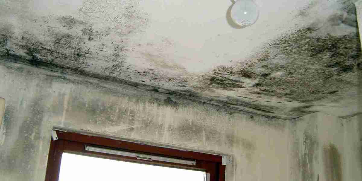 Prevent Condensation Issues Andover with Proven Control Solutions