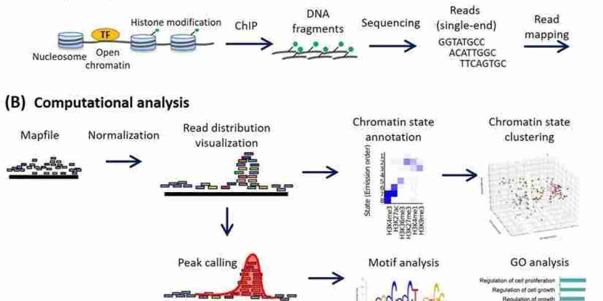 Overview of ChIP-Seq