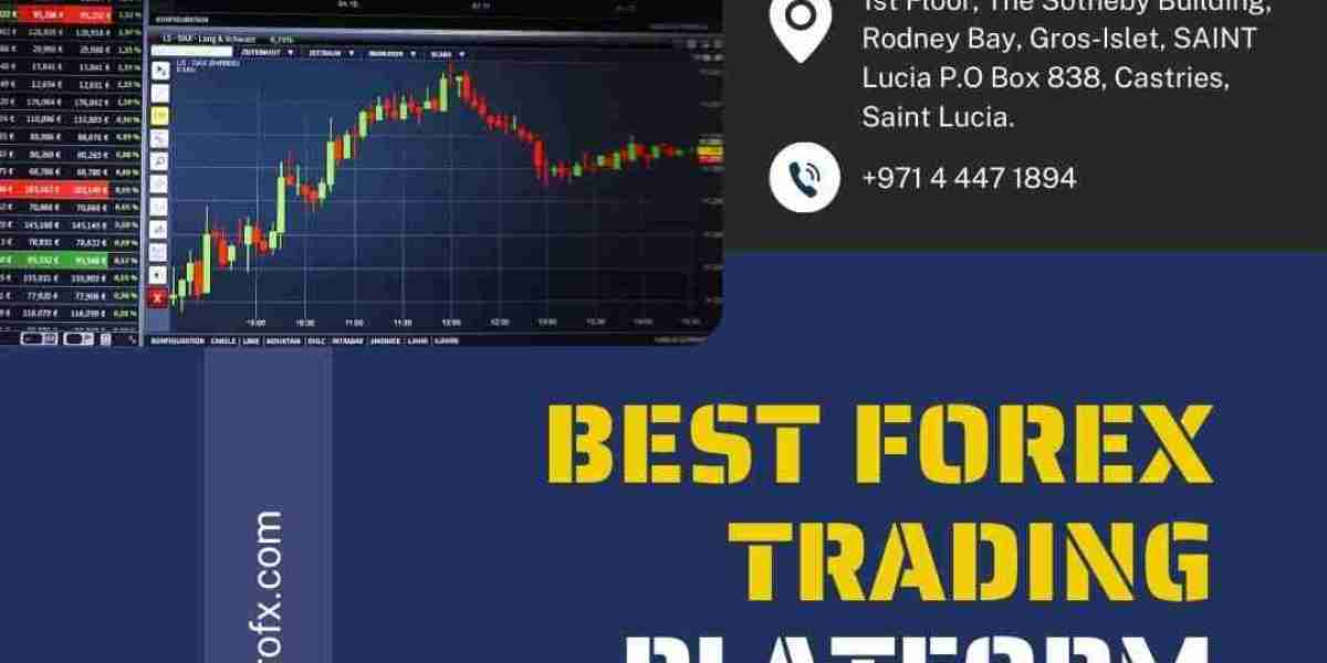 Best Forex Trading Platform in India: How to Find the Right One for Your Trading Goals