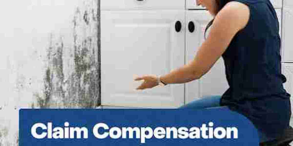 How Can Tenants in the UK Make a Housing Disrepair Compensation Claim