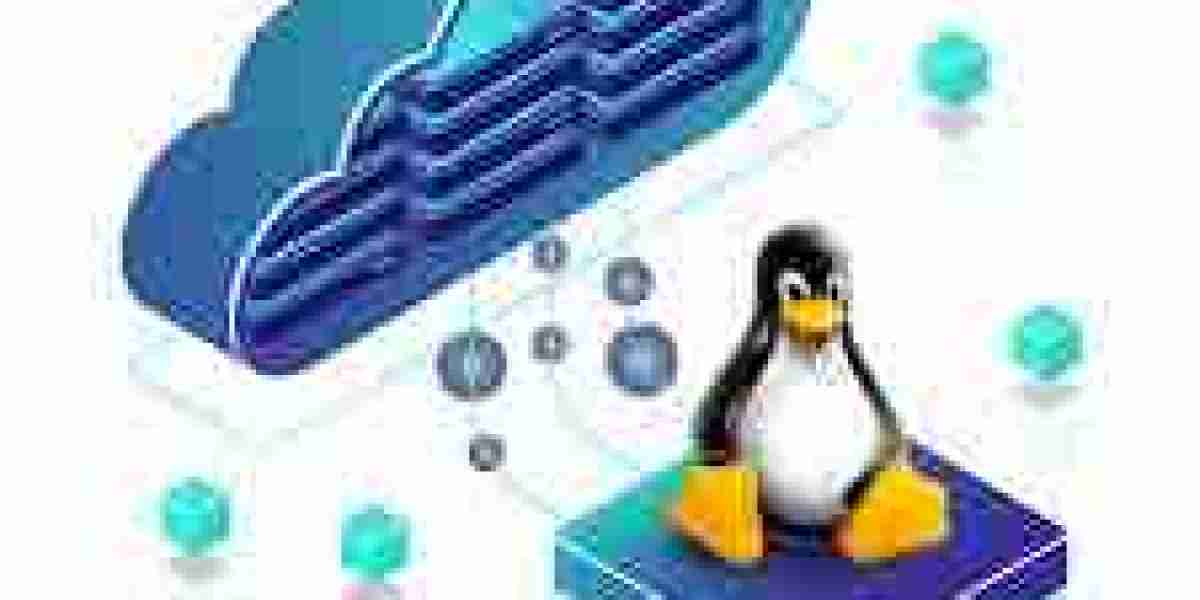 Linux-Based VPS Hosting: A Game-Changer for Online Success