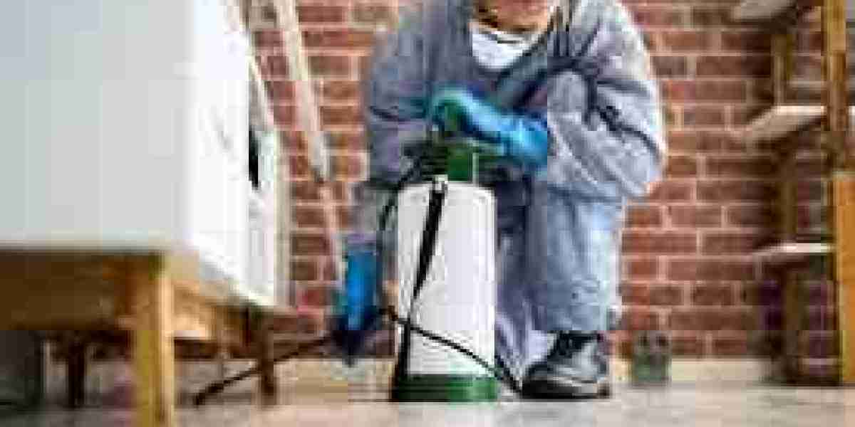 The Ultimate Guide to pest removal in Auburndal in FL