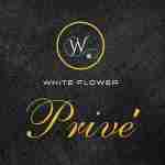 Prive By White Flower Profile Picture