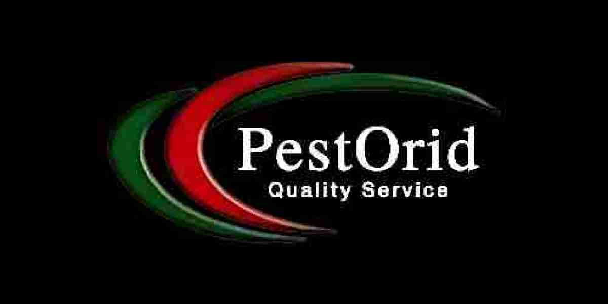 Termite Treatment Vaughan: Comprehensive Solutions for Lasting Protection