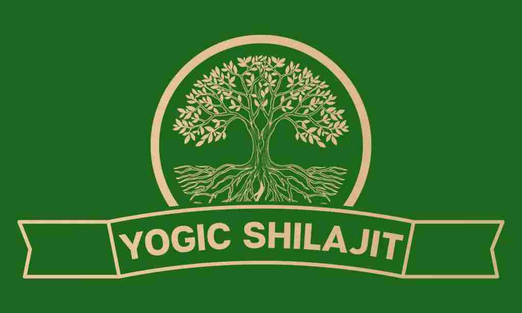 Yogic Shilajit Profile Picture