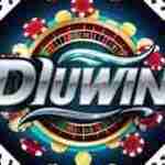 diu win game profile picture