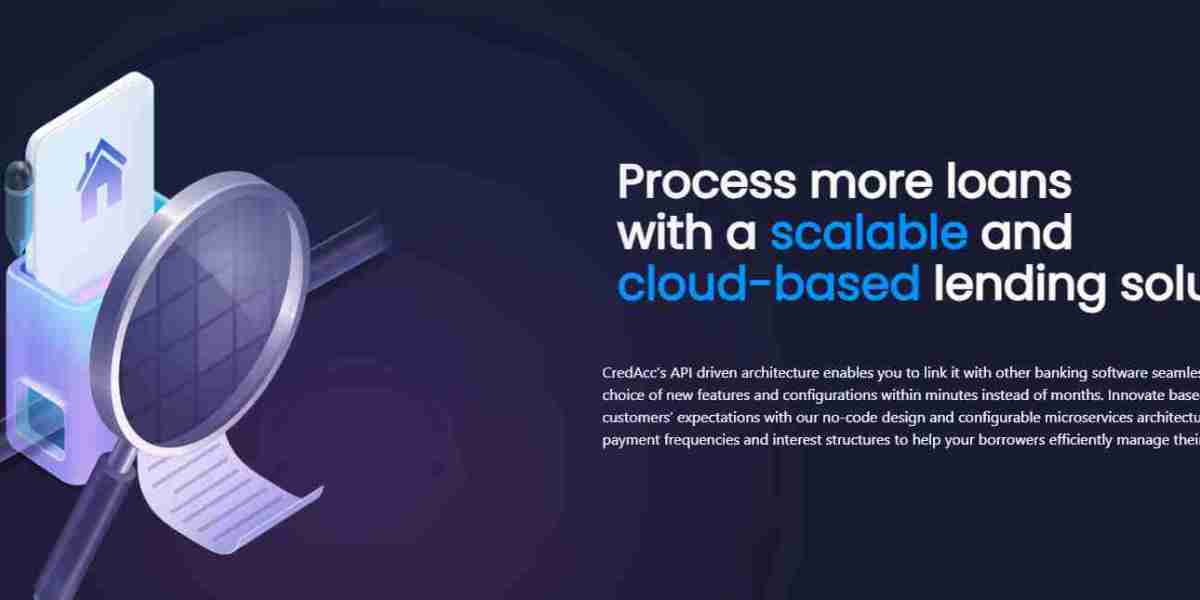 CredAcc’s Loan Management System – Efficient MSME Loan Servicing with Secure and Fast API-Based Integration for Financia