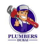 Best Plumbing Services in Dubai Profile Picture