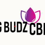 Big Budz CBD profile picture