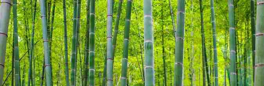 YUNNAN BAMBOO Cover Image