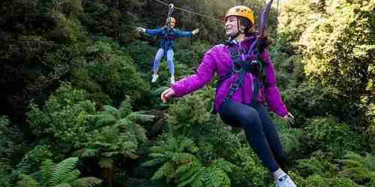 From Adventure to Conservation: How Rotorua Ziplines Connect You to Nature