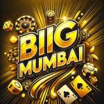 BIG MUMBAI profile picture