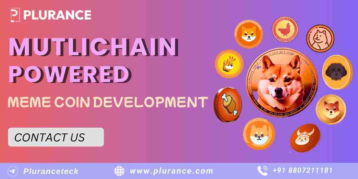 Multichain Power Meme Coin Development – Startup Guide For Beginners