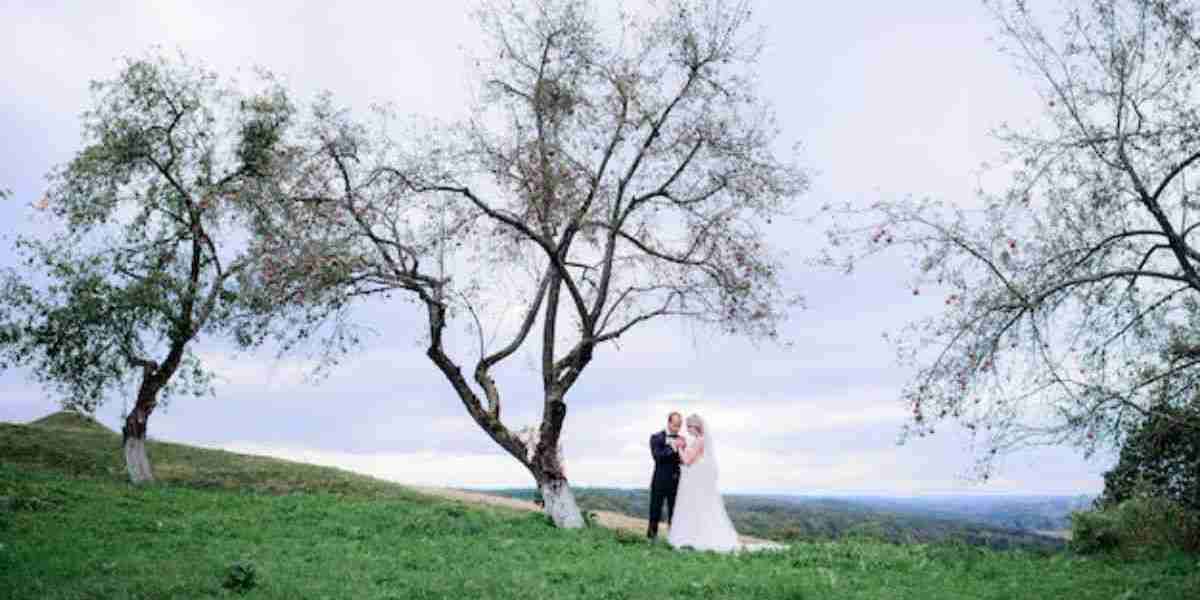 Adelaide Wedding Photographer: Capturing the Magic of Your Special Day