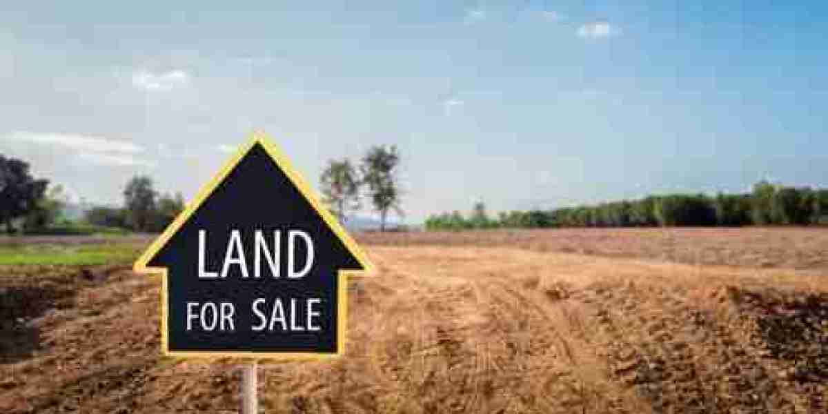 Selling Land in High-Growth States: What to Expect