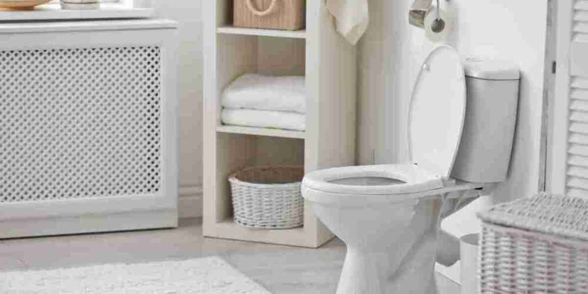 Torquay Blocked Toilets: Don’t DIY Disaster