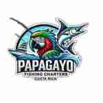 Papagayo Fishing Charters Profile Picture