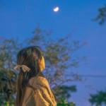 rokn nagd Profile Picture