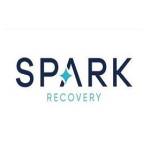 Spark Recovery Profile Picture