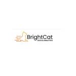 BrightCat Data Analytics Inc Profile Picture