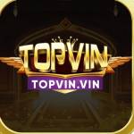 Top vin Profile Picture