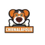 CHIENALA FOLIE Profile Picture