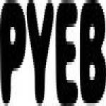 PYEB Germany Profile Picture