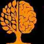 The Dutch Minds Profile Picture